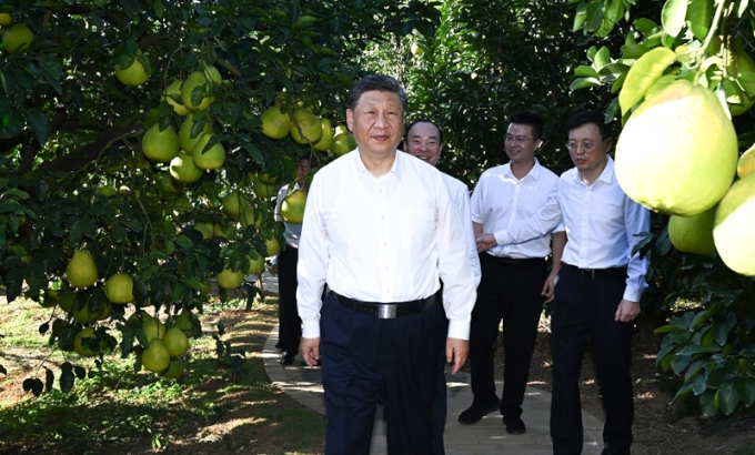 习近平在广东考察