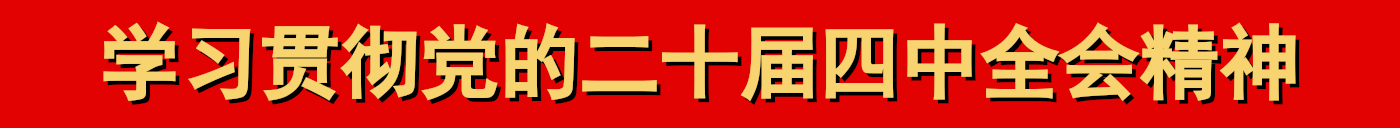 学习贯彻党的二十届四中全会精神