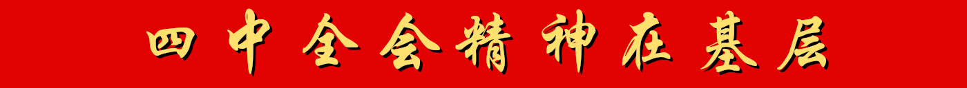 四中全会精神在基层_新华网专题报道