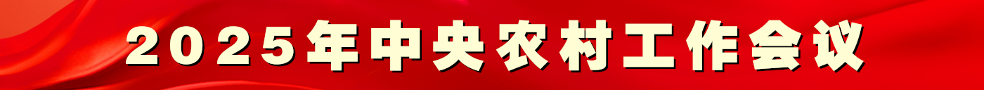 2025年中央农村工作 会议 _新华网专题
