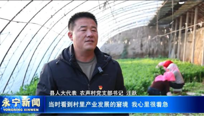 【人大代表履职答卷】汪跃：扎根乡土践初心 履职为民促振兴