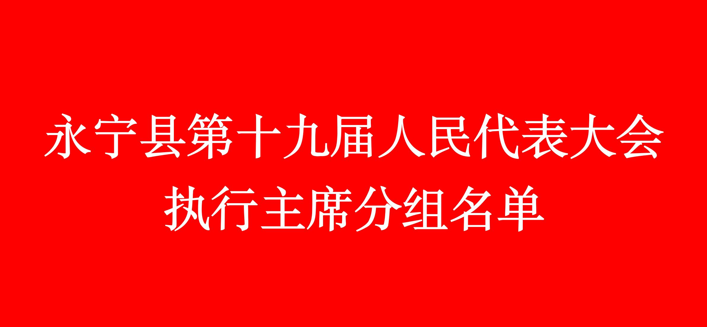 永宁县第十九届人民代表大会第五次会议 执行主席分组名单